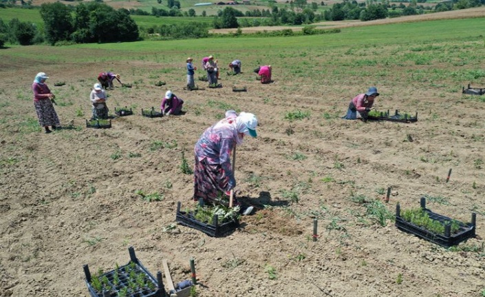 Kocaeli SEKAPARK, üreticiye destek veriyor 