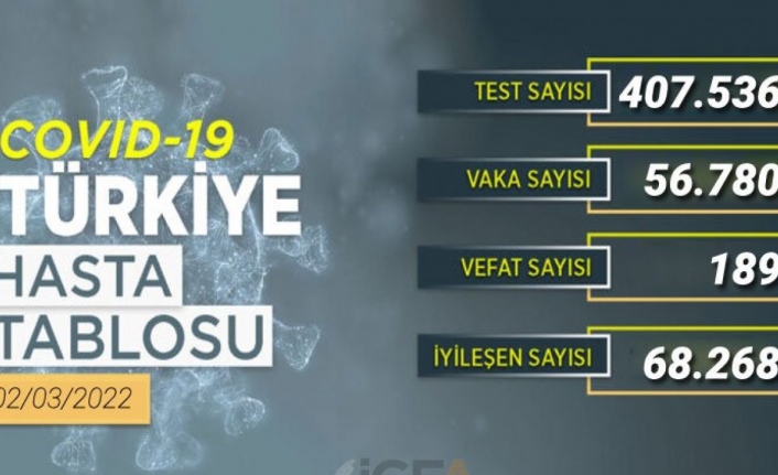 56 bin 780 PCR testi pozitif çıktı