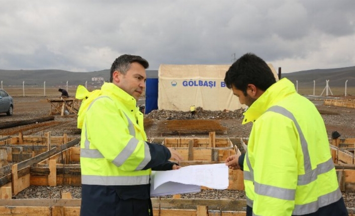 Ankara Gölbaşı'nda can dostlar evlerine ulaşıyor 