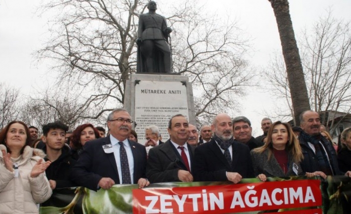 CHP Genel Başkan Yardımcısı Bursa'dan 'zeytin ağacıma dokunma' dedi