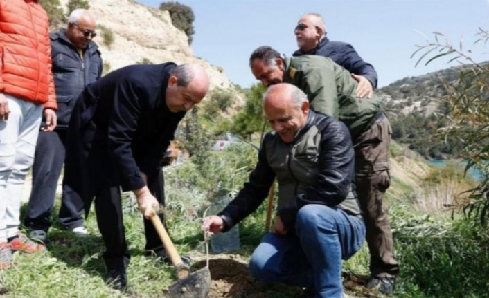 Kıbrıs'ta zeytin fidanı dikerek, yuva sahibi oldular