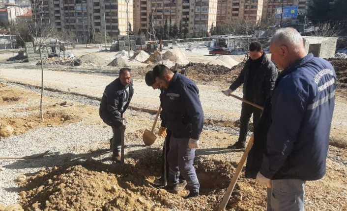 Kilis'te yeni açılan cadde ve bulvarlara ağaç dikimi yapıldı