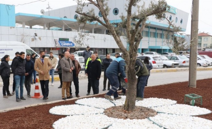 Manisa Akhisar'da peyzaj çalışması