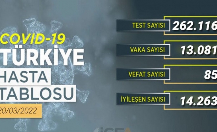 Son 24 saatte 14 bin 623 kişi sağlığına kavuştu