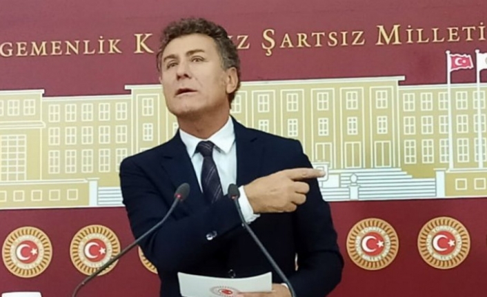 CHP'li Sarıbal: Çaresizlikten inekler kesime gidiyor