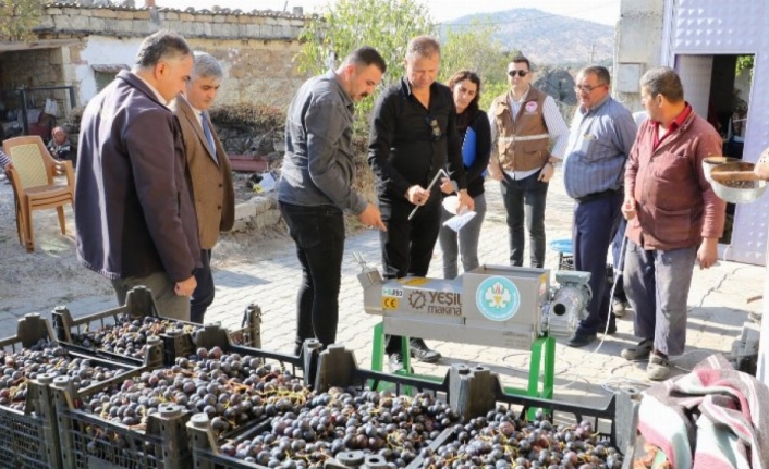 Manisa'da üzümün tadı farklı olacak