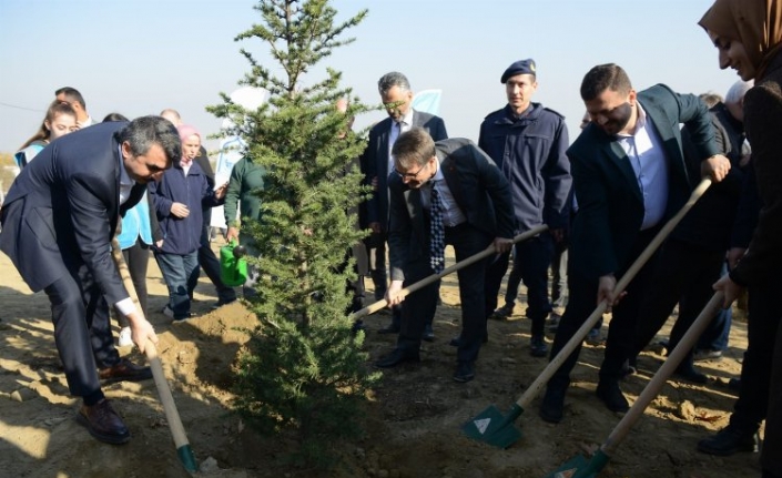 Bursa Yıldırım'da 250 fidan toprakla buluştu