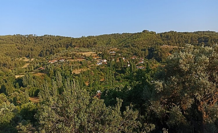 Muğla'da çimento fabrikasına açılan temyizden olumlu karar