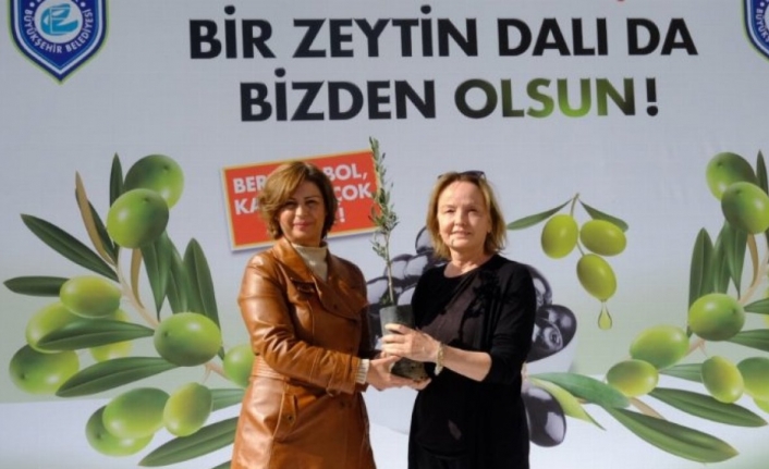 Sakarya Vadisi zeytin bahçesi olacak