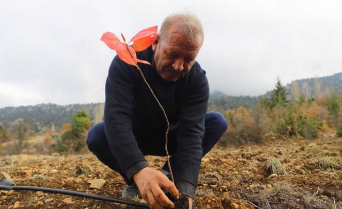 Antalya ile İzmit’in “Aronya” kardeşliği