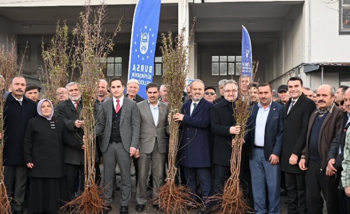 Bursa'da dağ yöresi meyvecilikle kalkınıyor