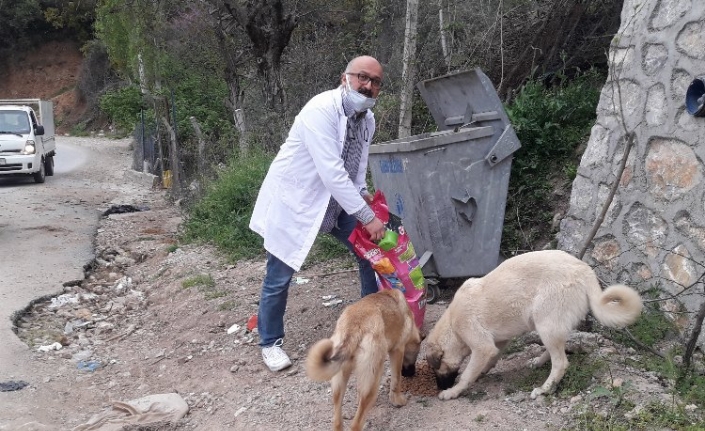 Bursalı veterinerden 'bir kap su, bir kap mama' çağrısı