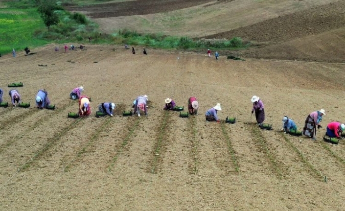 Sekapark'ın hedefi Avrupa ve Ortadoğu pazarı