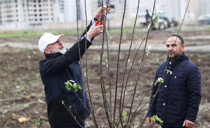 Kayseri Kocasinan'dan meyve bahçeli park projesi