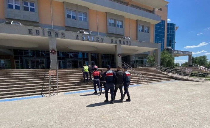 Edirne'de silahlı terör örgütü üyelerine 12 gözaltı