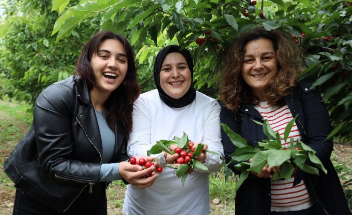 Ege'de kiraz hasadına enerji kattılar