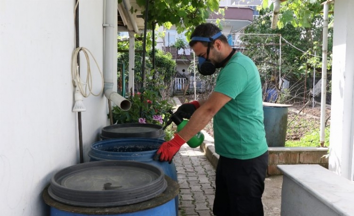 Kocaeli'de sivrisineklerle mücadele çalışmaları sürüyor