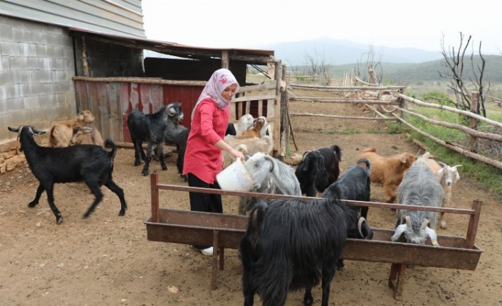 Muğlalı kadın üreticiler kazanıyor