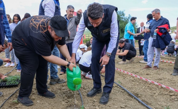 Bilecik Bozüyük'te fideler ilk can suyu Vali Aygöl'den