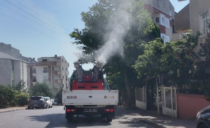 Çayırova’da vektörle mücadele sürüyor