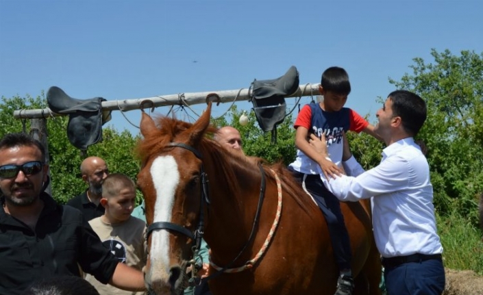 Edirne İpsala'da da özel eğitimde hipoterapi eğitimleri tamamlandı