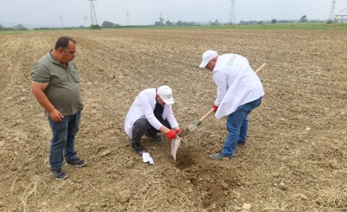 Kocaeli'de çiftçilere ücretsiz toprak analizi