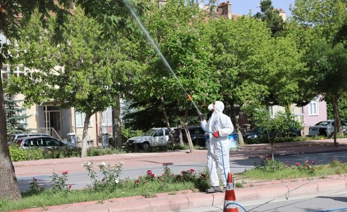 Konya Selçuklu'da ilaçlama çalışmalarına devam