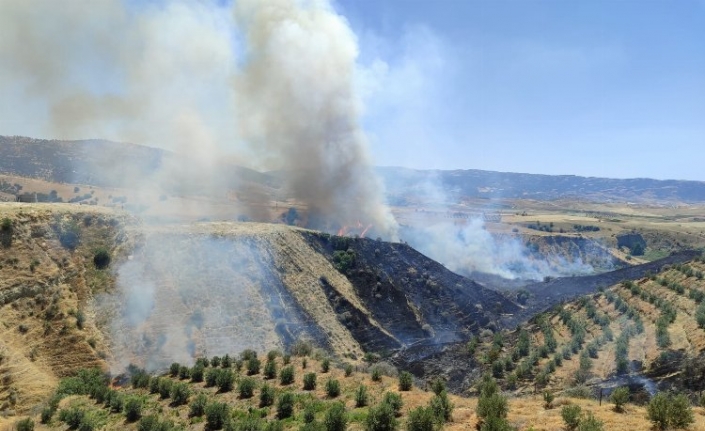 Manisa Alaşehir'de korkutan yangın kontrol altına alındı