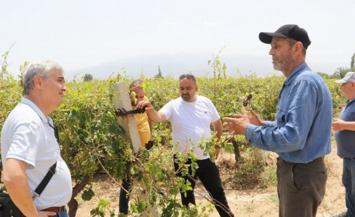 Manisa Meclisi'nden hasar gören üreticilere destek