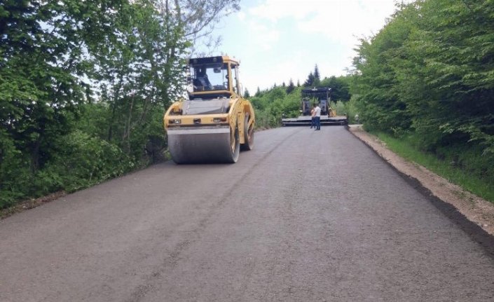 Ordu'da asfalt işlerine devam