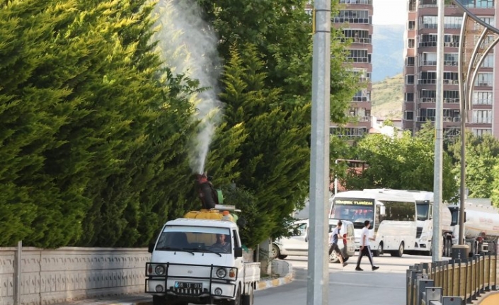 Tokat’ta sivrisinek, larva ve uçkun ile mücadele