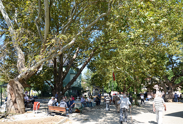 Haydariye Meydanı Turizme Kazandırılacak