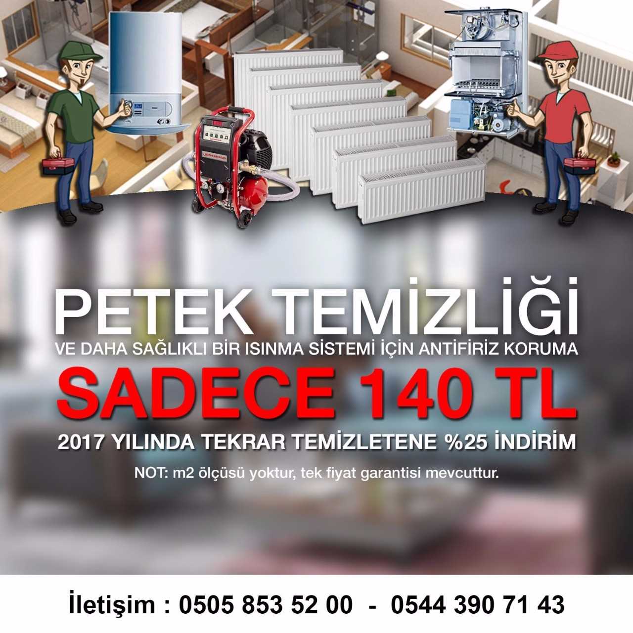 Gemlik Petek Temizliği