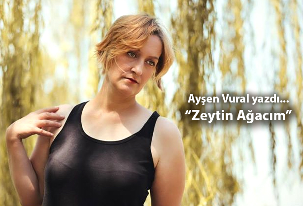 Zeytin Ağacım