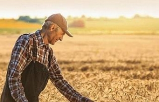 Tarım arazilerinin kullanımı etkinleştirilecek