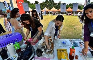 İzmir'de 'sahiplendirme' şenliği