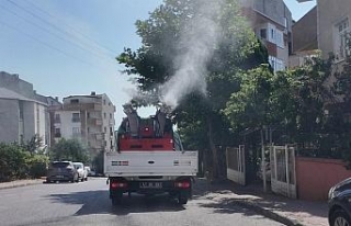 Çayırova’da vektörle mücadele sürüyor