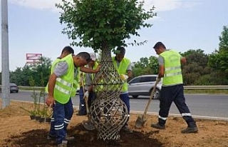 Güzelbahçe’nin çehresi değişiyor