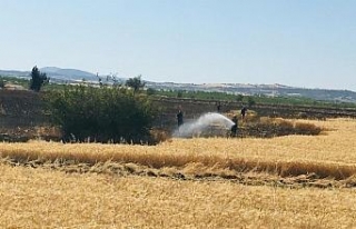 Manisa'da çiftçilere uyarı